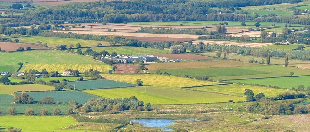Aerial view of lush green fields and farmlands under a clear blue sky.