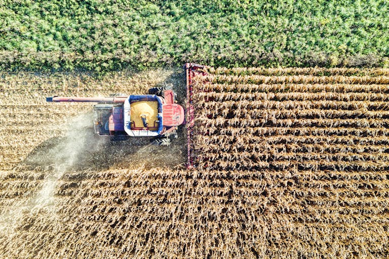 Enjeux agriculture