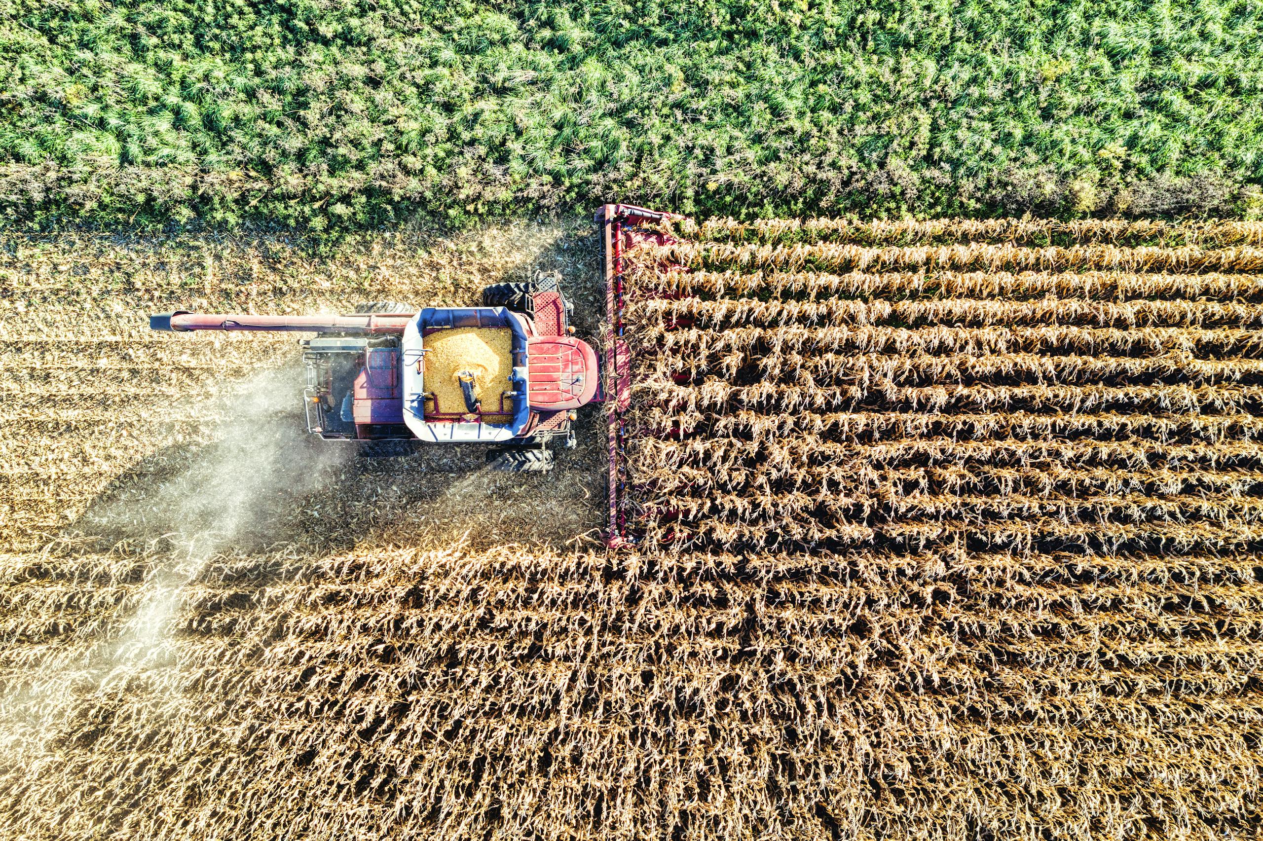 Enjeux agriculture