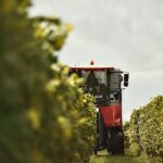 Mastering the First Impression: Your intriguing post title goes here